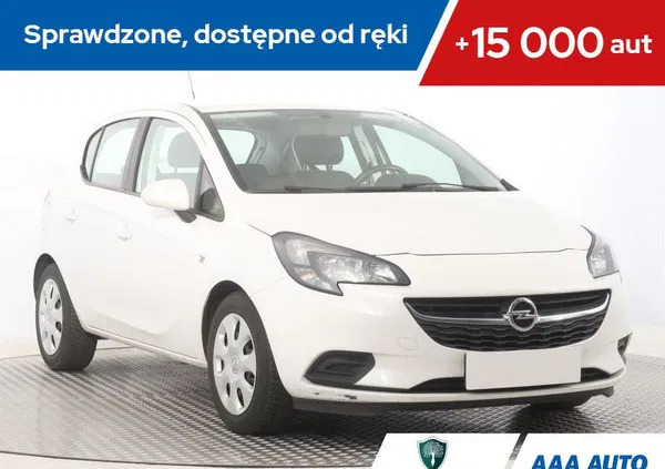 małopolskie Opel Corsa cena 31000 przebieg: 123543, rok produkcji 2017 z Tarnobrzeg